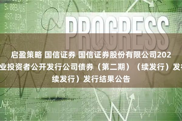 启盈策略 国信证券 国信证券股份有限公司2025年面向专业投资者公开发行公司债券（第二期）（续发行）发行结果公告