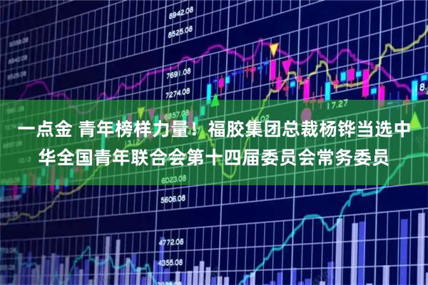 一点金 青年榜样力量！福胶集团总裁杨铧当选中华全国青年联合会第十四届委员会常务委员